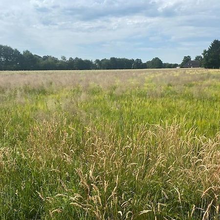 Kunst Und Natur In Worpswede 아파트 외부 사진