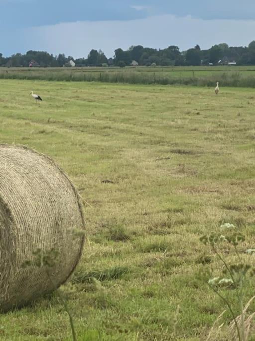 Kunst Und Natur In Worpswede 아파트 외부 사진